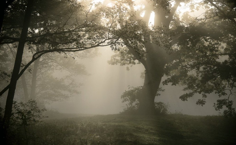 Nature Photography: Τοπ 10 φωτογραφίες στο Twitter