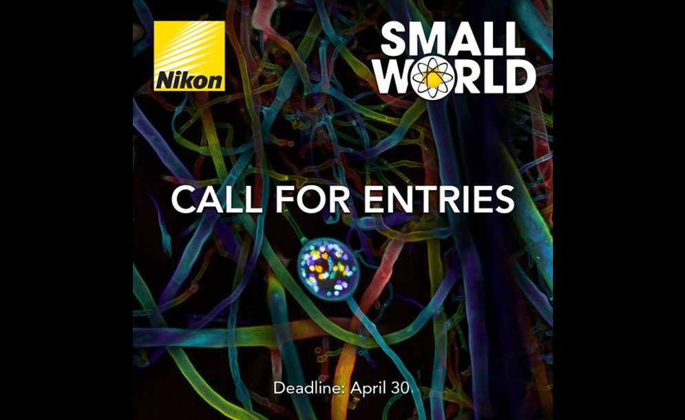Nikon Small World: Ανοιχτές οι συμμετοχές στον διαγωνισμό