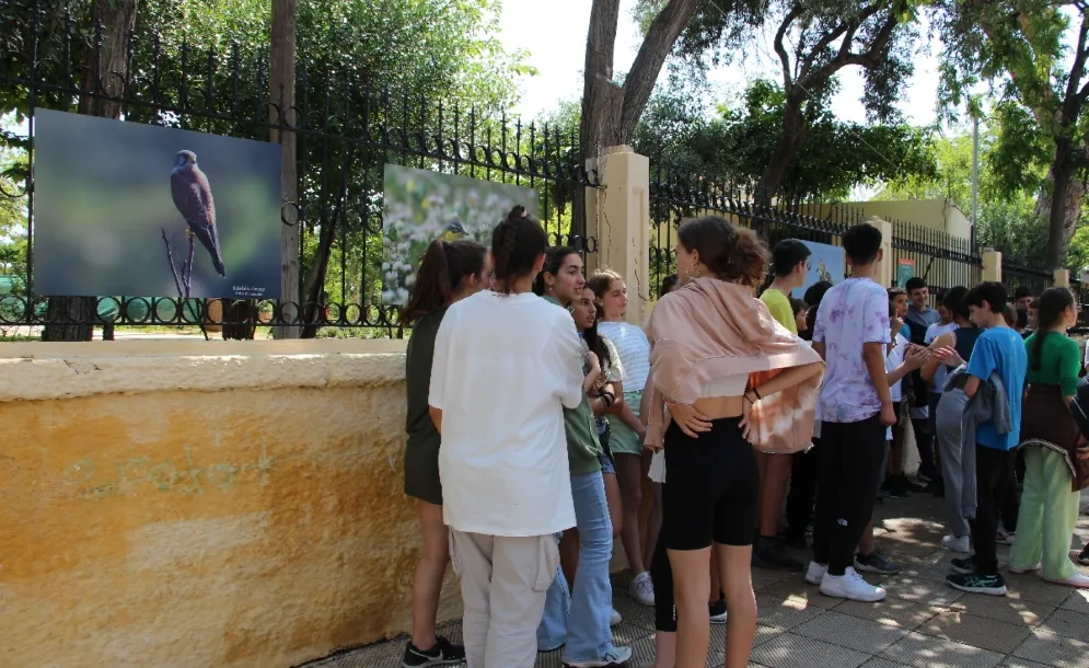 Χανιά: Υπαίθρια έκθεση φωτογραφίας με πτηνά της Κρήτης