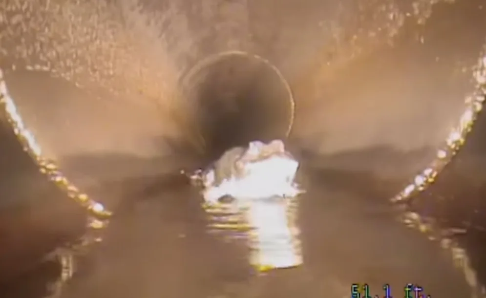 Ρομποτική κάμερα συναντά έναν αλιγάτορα μέσα σε μια αποχέτευση